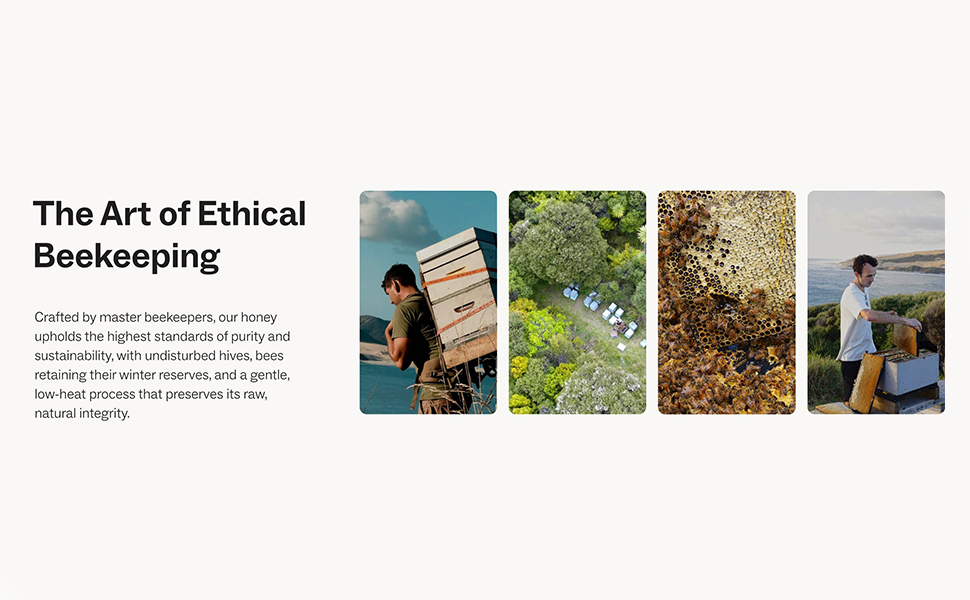 The art of ethical beekeeping