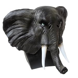 Halloween Mask