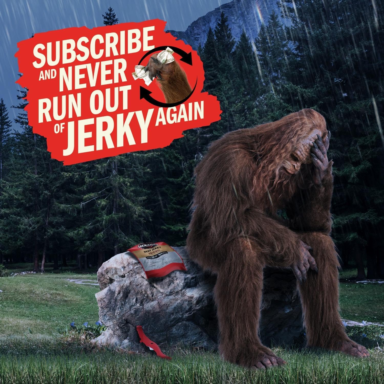 Jack Link's Beef Jerky Variety Pack - Original and Teriyaki - (9 Pack) 1.25 oz Bag - Ready to Eat Protein Snacks - 13g Protein per Serving - Made with 100% Real Beef | Bag - Ready to Eat Protein Snacks - 13g Protein per Serving - Made with 100% Real Beef