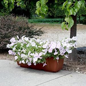 RTS rectangular planter