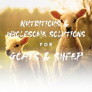 manna pro goats and sheep lifestyle image