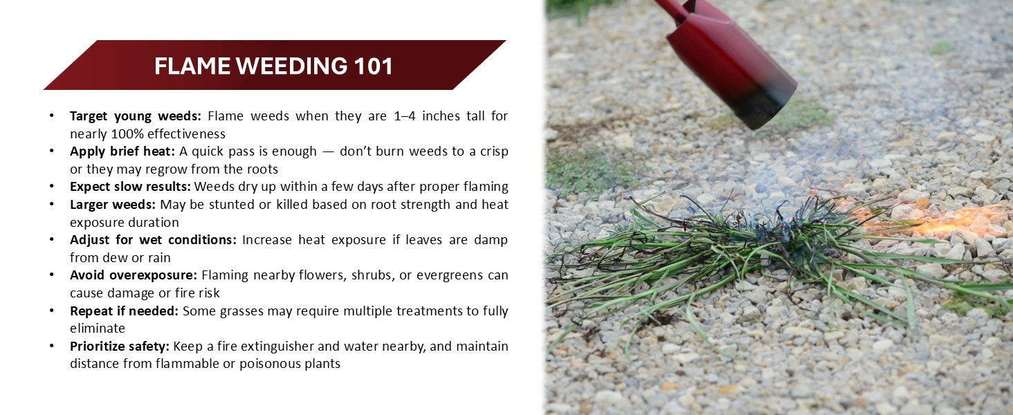 Flame weeding 101
