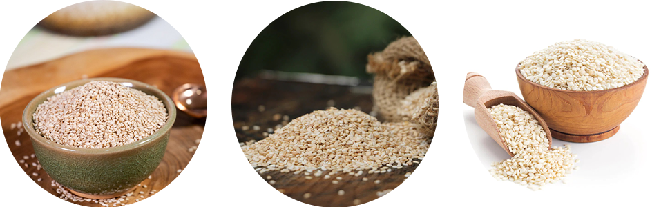 Shirakiku Roasted Sesame Seeds (IRI GOMA)