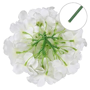 white-1