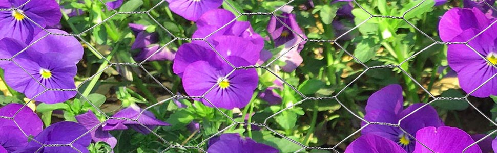 2inch galvanized chicken wire mesh