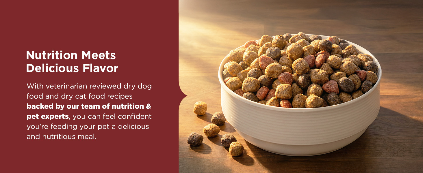 Pet food kibbles in bowl on the ground