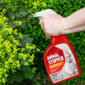 Animal Stopper Trigger Spray Product In Use