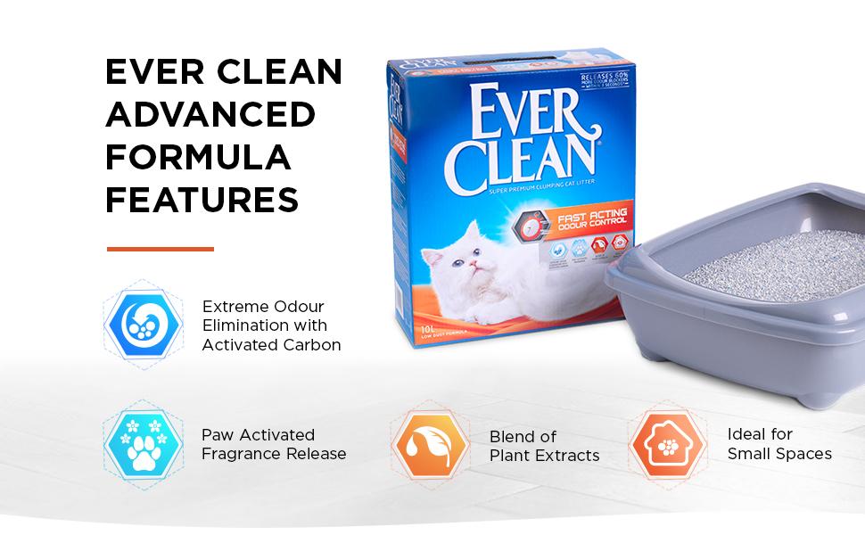 non woodchip tigerino kitten everclean kitty world bob martin ever clean