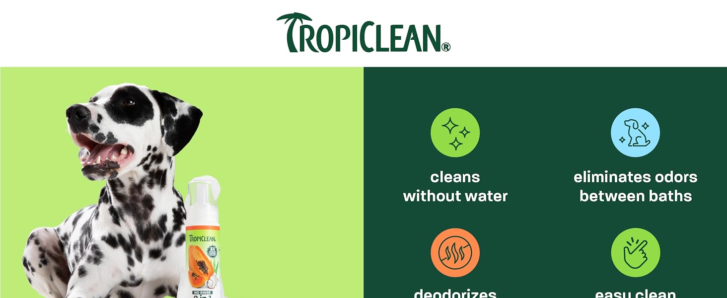 TropiClean bottle on head of dog.