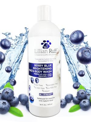 blueberry