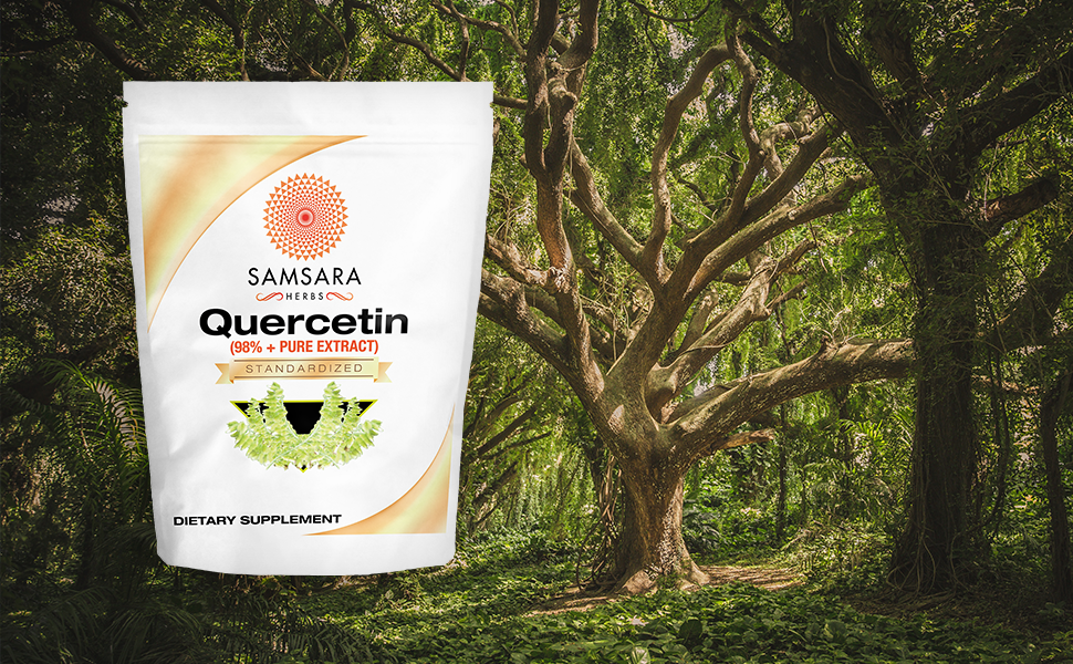 Quercetin Forest Green