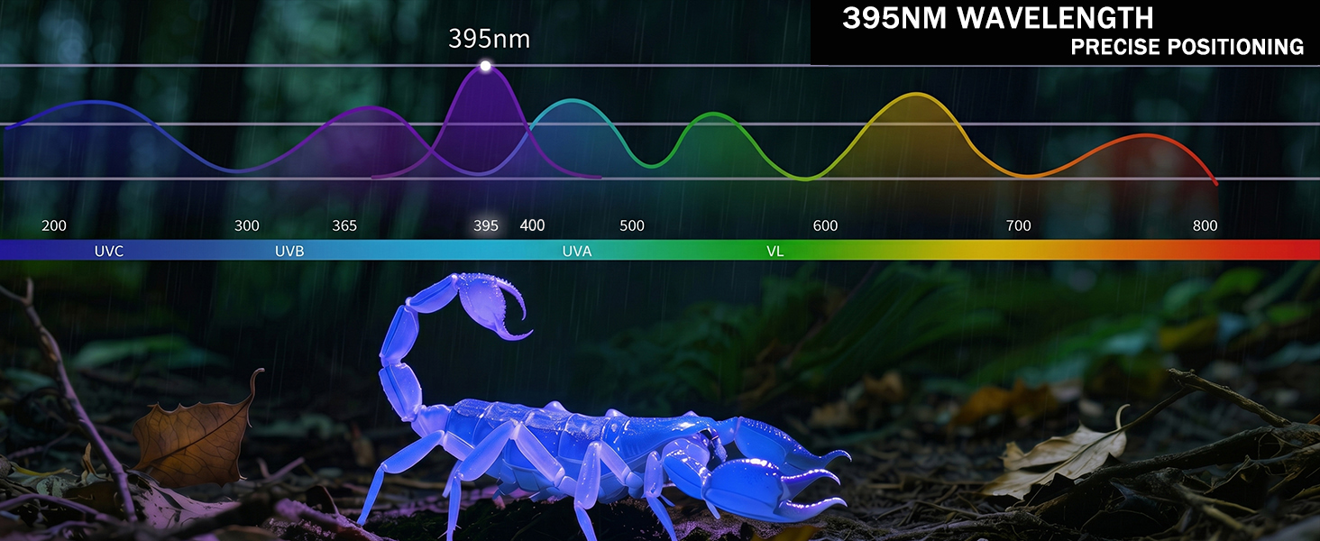 UV 395nm Light