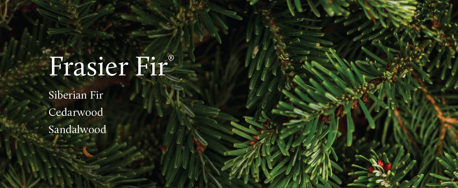 Frasier Fir