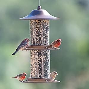 two tier bronze panorama bird feeder