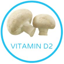 neuroBLISS - Vitamin D2