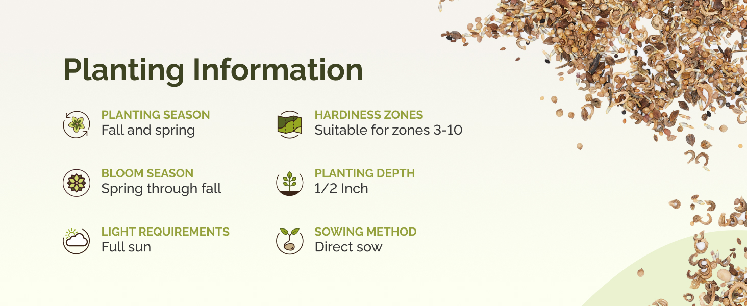 fall flower seeds spring planting wildflower seeds