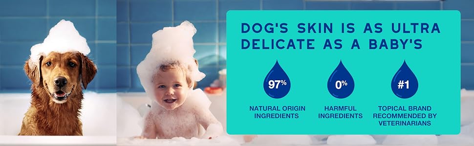 golden dog in bath tub with suds on head and baby in bath tub with suds on head