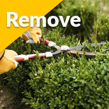 paint, remove, thinner, laquer, abrasive, sandpaper, gel, liquid, sunnyside, cleaner, remover, pour