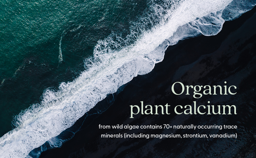 calcium, plant calcium, calcium supplements