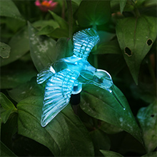 solar LED light