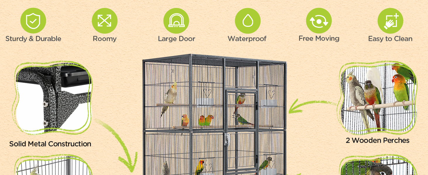 Bird Cage