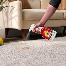 carpet stain