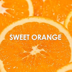 Britney Spears Hidden Fantasy Sweet Orange