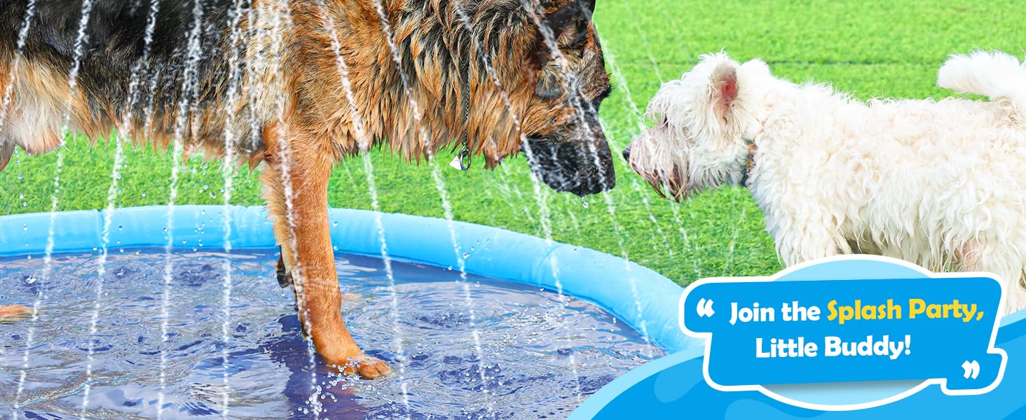 Dogs and children share the summer, the dog pools for large dogs heavy duty is full of laughter!