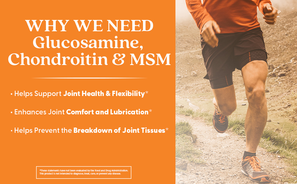Glucosamine Chondroitin MSM OptiMSM