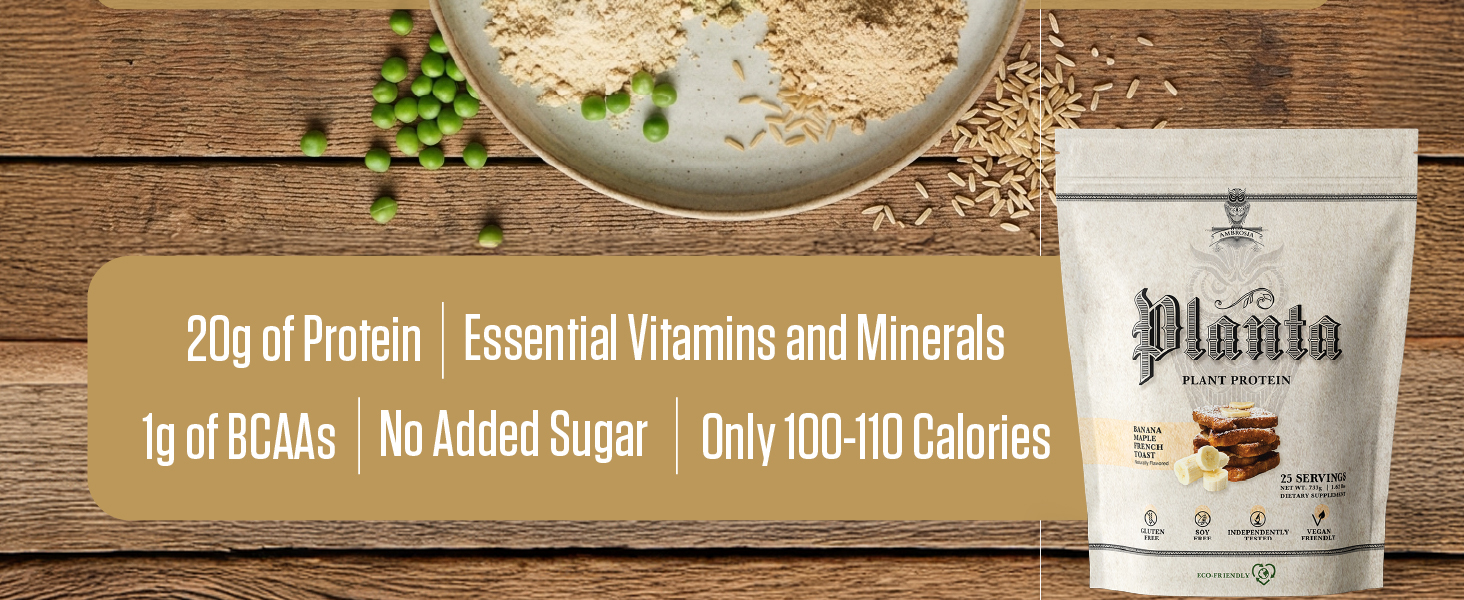 Organic plant protein powder label showing ingredients and grams of protein per serving