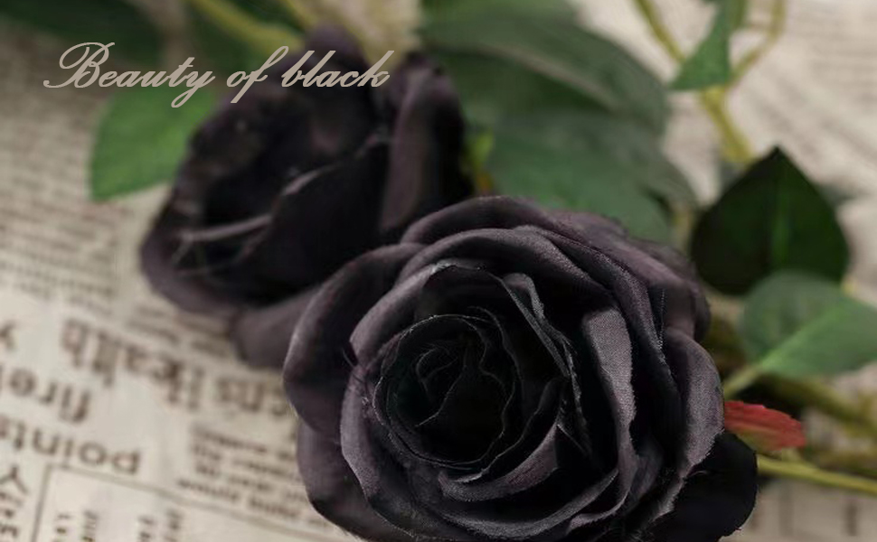 beauty of black