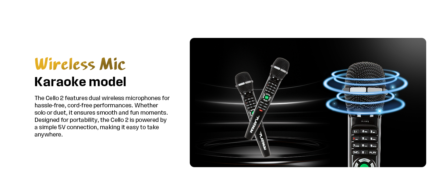 Wireless Mic