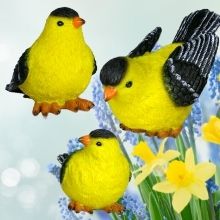 Detailed, hand painted Goldfinches