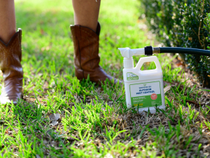 Wondercide Ready to Use Outdoor Pest Control for yard and garden