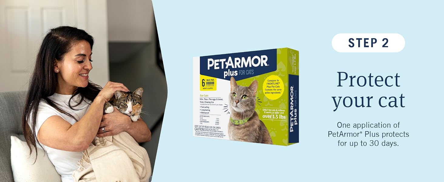 step 2: protect your cat