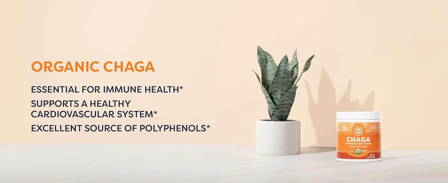vimergy chaga