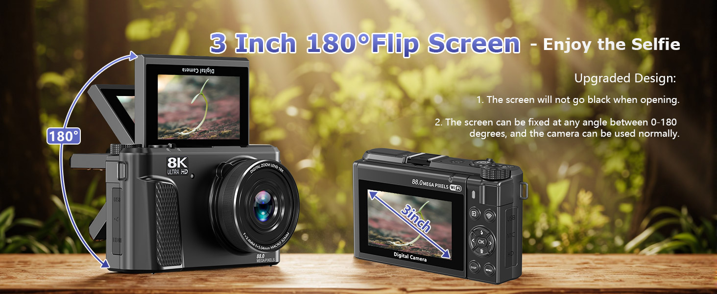 digital camera