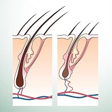 healthy Scalp