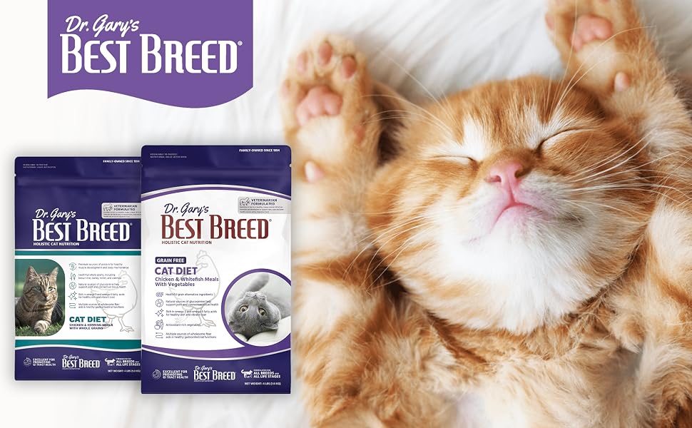 Brest Breed Cat