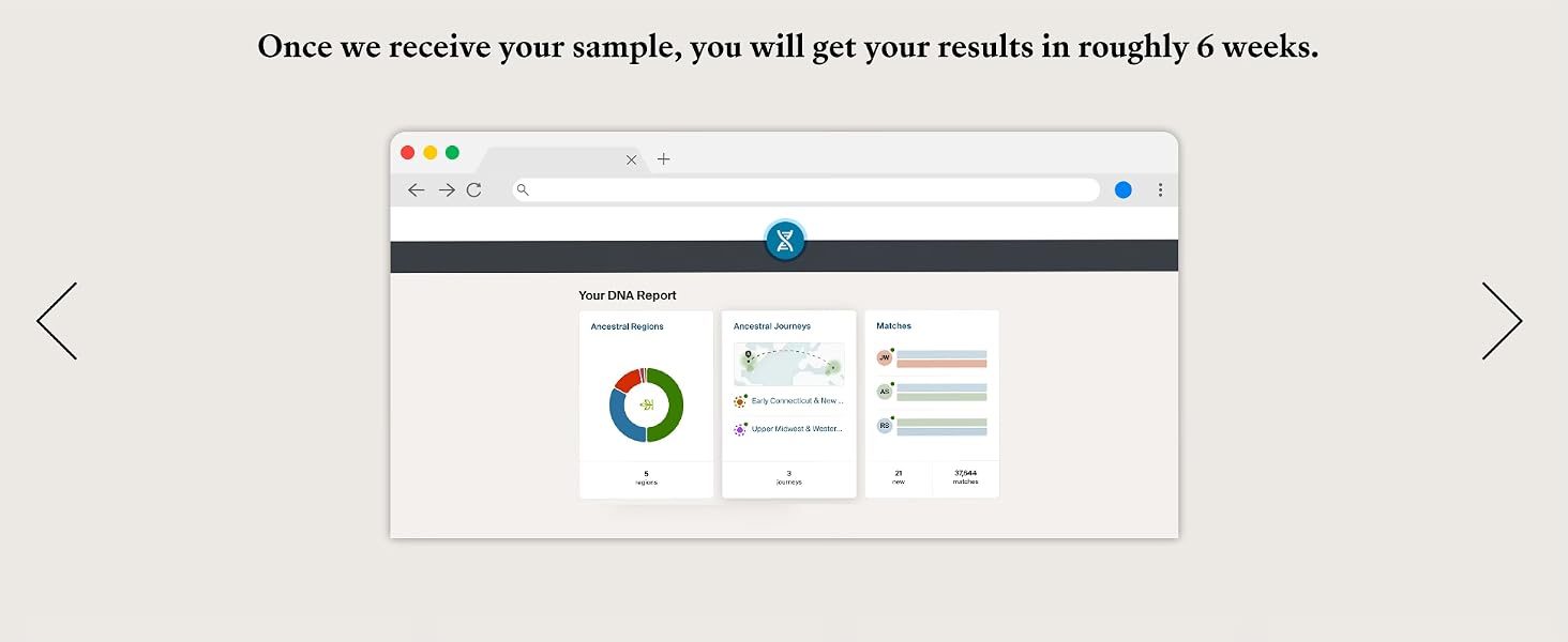 Ancestry DNA Test Steps
