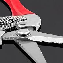S-Blade