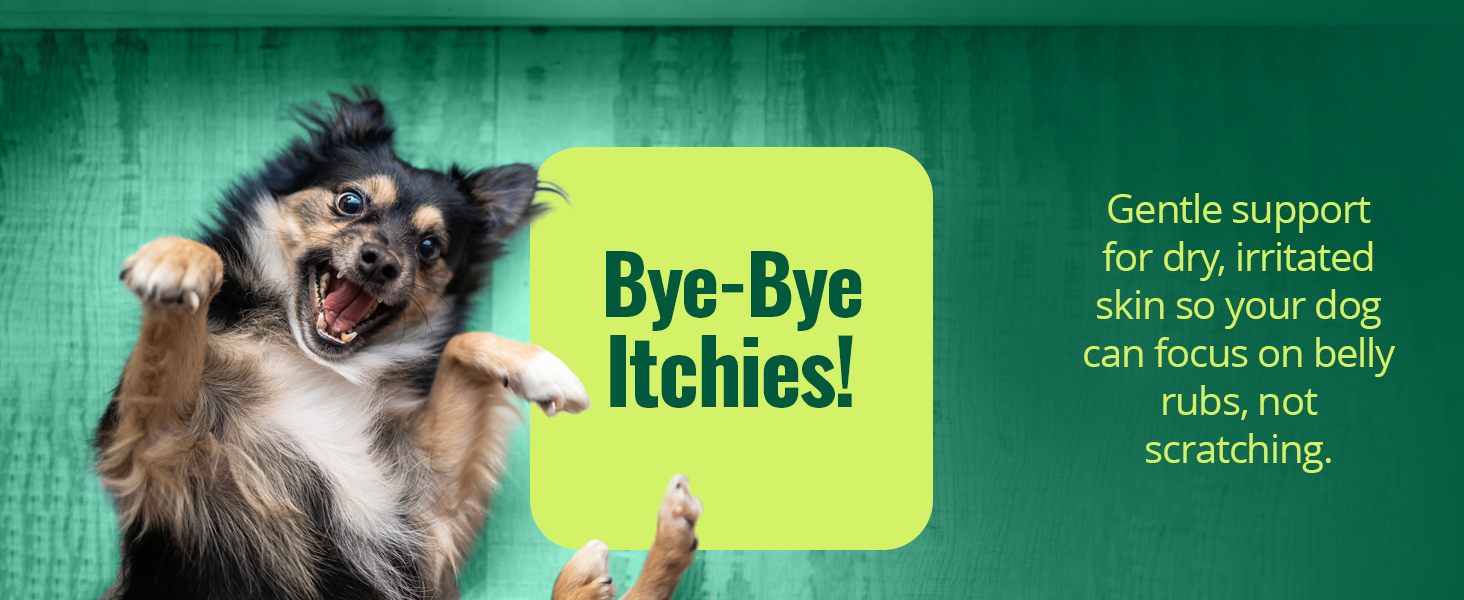Gentle support for dry, irritated skin so your dog can focus on belly rubs, not scratching