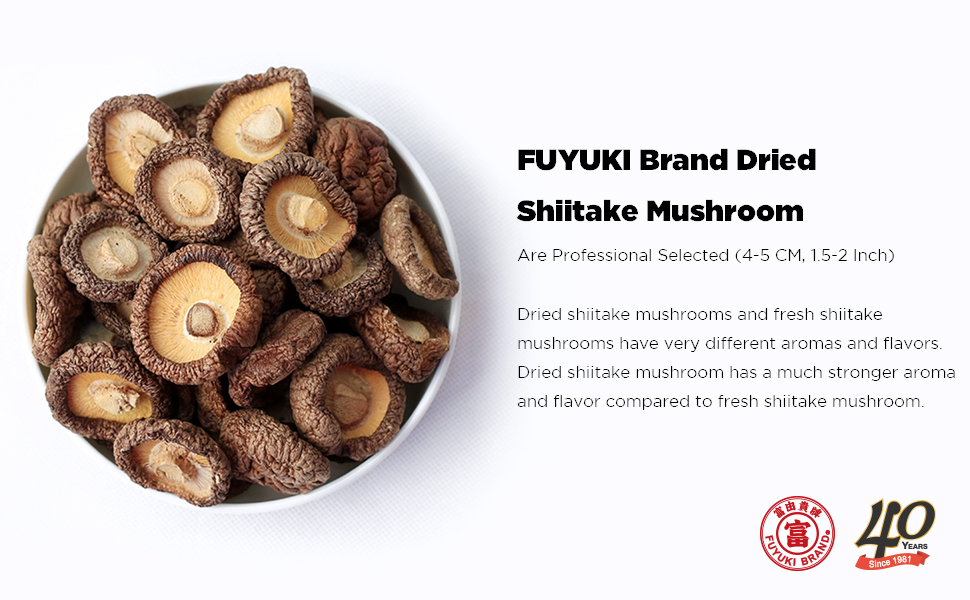 Dried Mushrooms Dried Shiitake Mushrooms