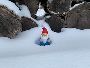 Gnome in the snow, just about wast deep