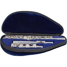 flute section of triple case, blue interior