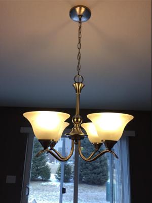 globe light bulbs