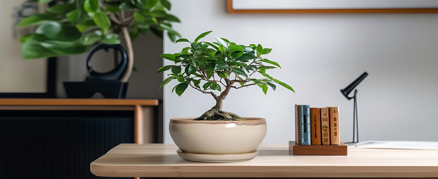white plant pot