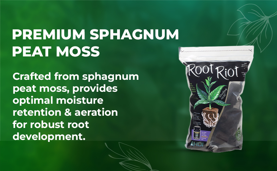 sphagnum peat moss