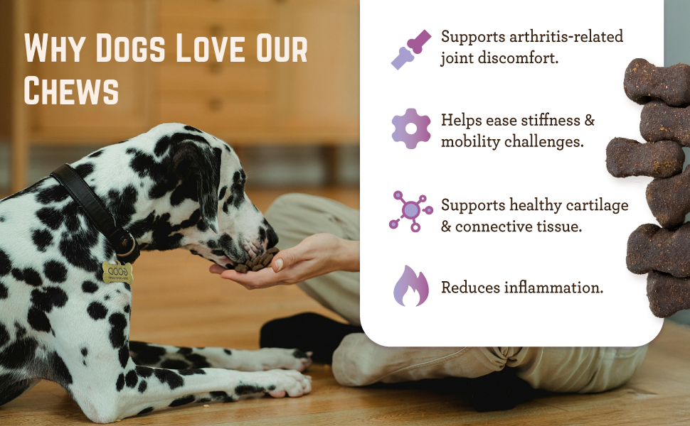 Why Dogs Love Our Chews