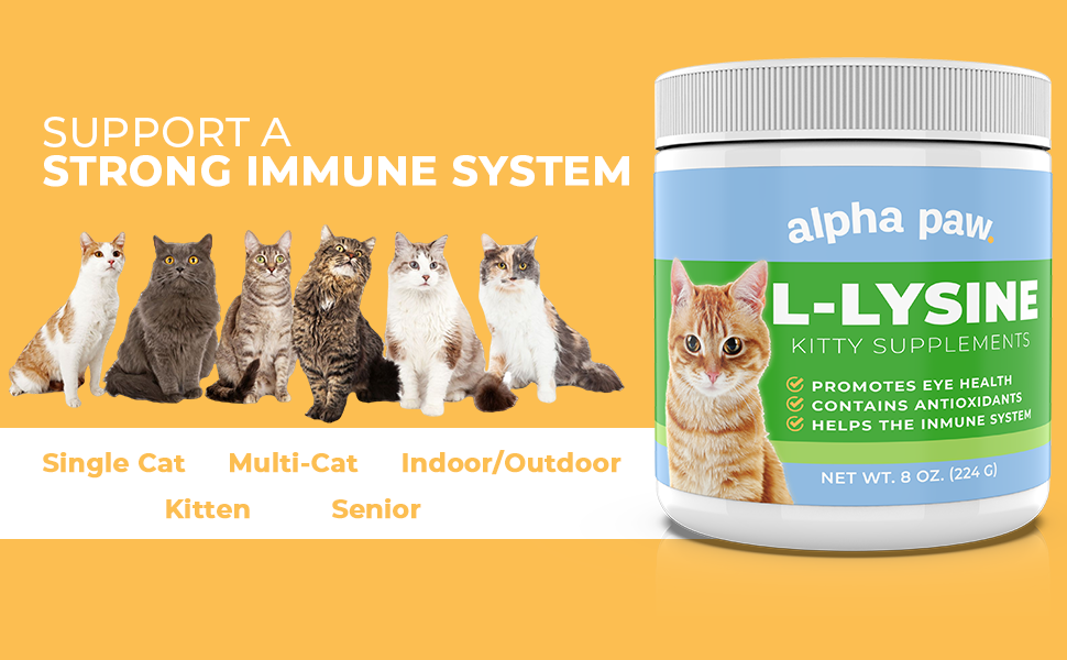 cat lysine supplement immune system health